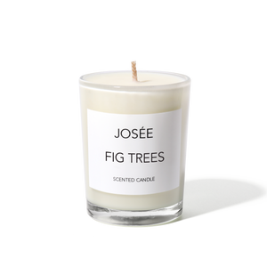 Fig Trees Scented Candle 60g